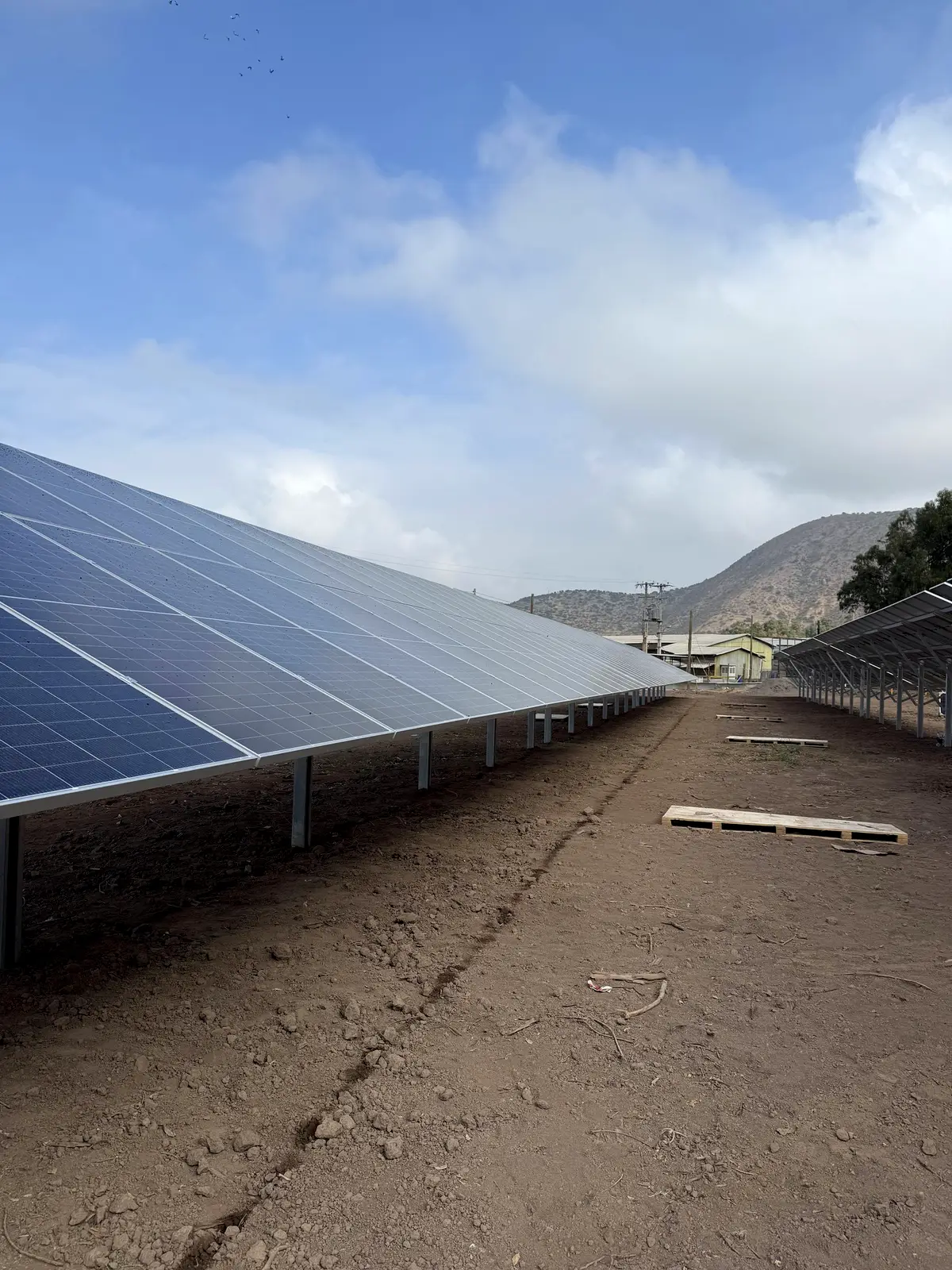 Hileras de módulos fotovoltaicos instalados en una planta solar de la zona central