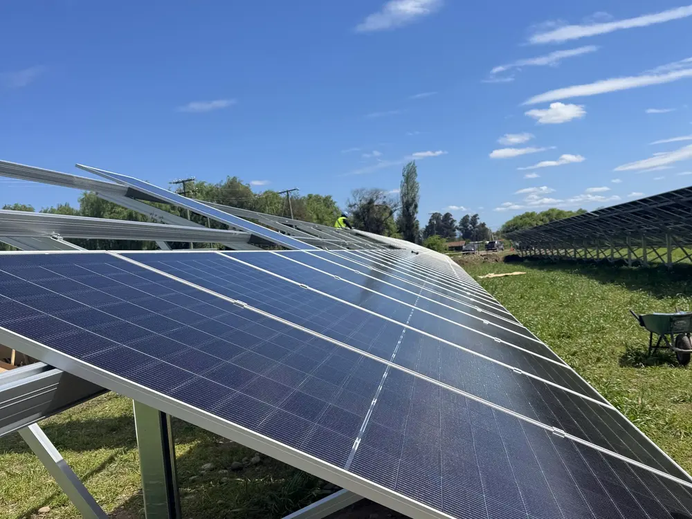 Hileras de módulos fotovoltaicos sobre estructuras en una planta solar